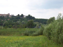 il 