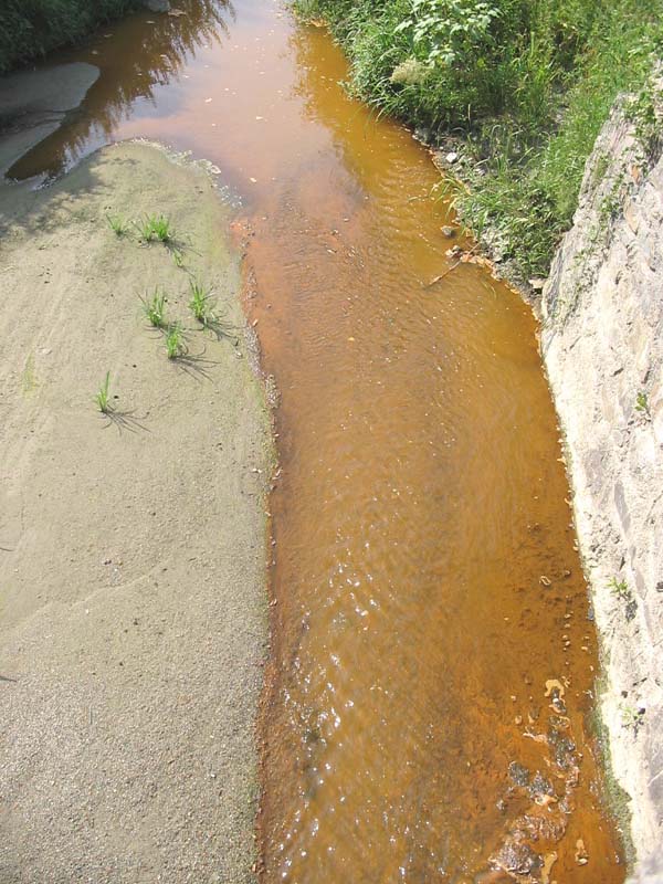 Il Bevera color ruggine (1)