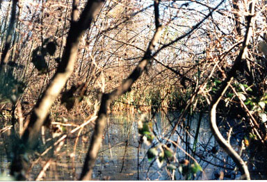 Altro scorcio del 'Zoc' ('96)